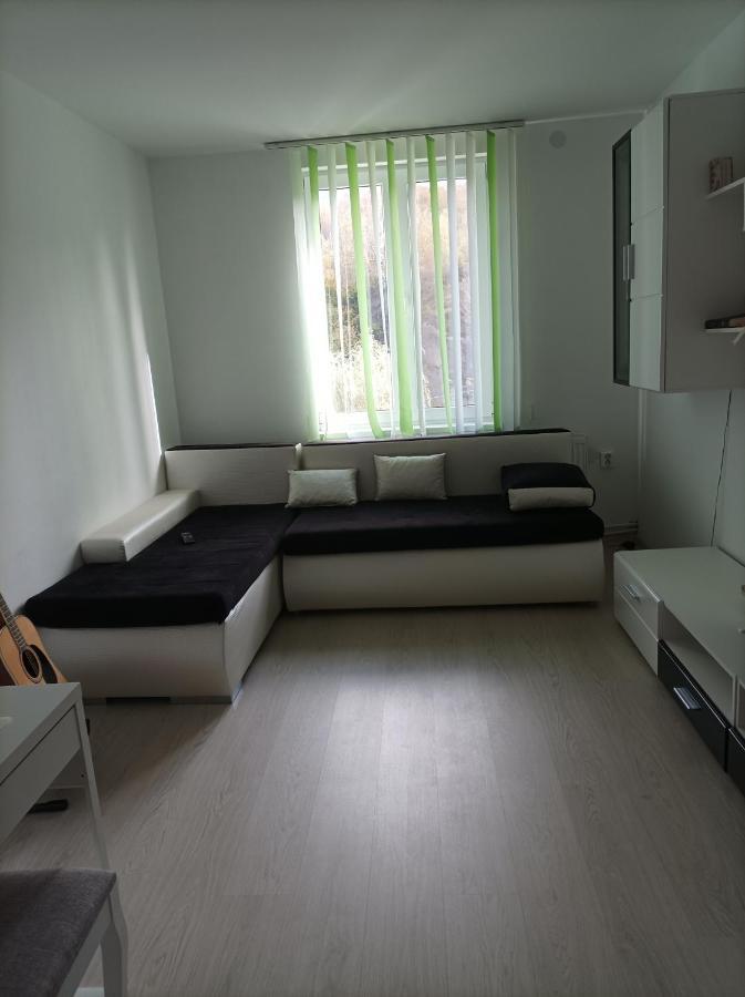 Apartament Doua Camere Uricani  Екстер'єр фото