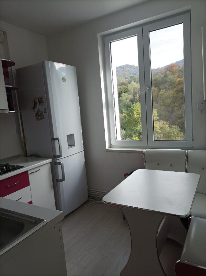 Apartament Doua Camere Uricani  Екстер'єр фото